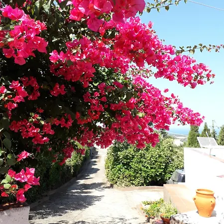 Antica Gallura