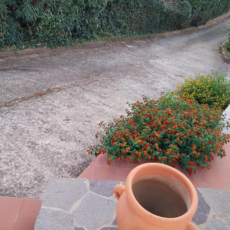 Di Pieranna